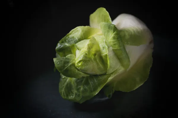 Insalata verde fresca — Foto Stock