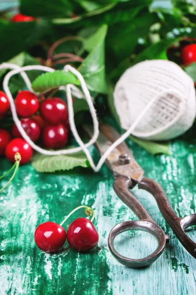 Makas ve iplik ile grup kiraz ağacı — Stok fotoğraf