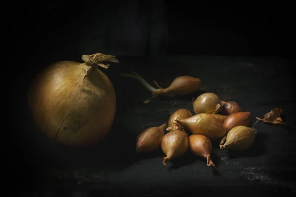 Große und kleine Zwiebeln — Stockfoto