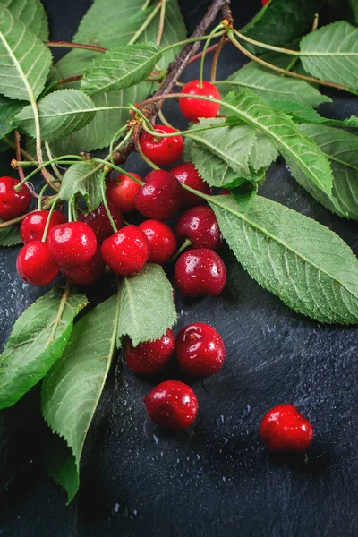 Fresh cherries — Stock Photo, Image