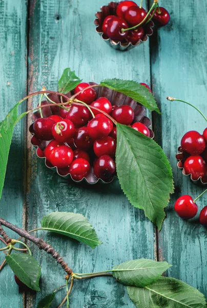 Bowl of fresh cherries — Stock Photo, Image