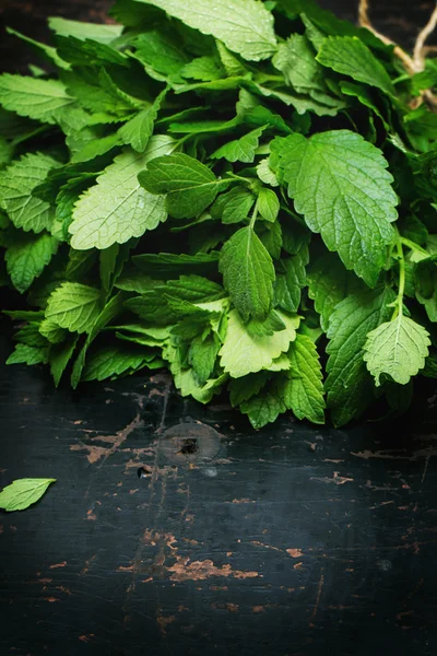 Fresh mint — Stock Photo, Image