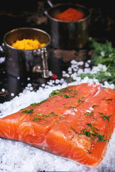 Salted salmon with spices — Stock Photo, Image