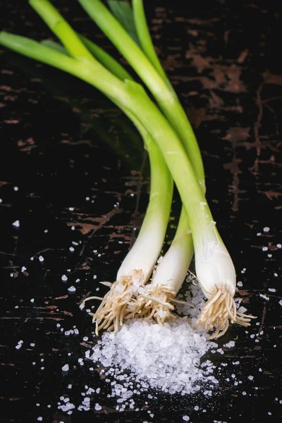 Green onions — Stock Photo, Image