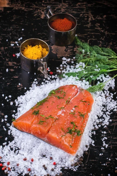 Salted salmon with spices — Stock Photo, Image