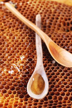 tahta kaşık peteğin üzerinde