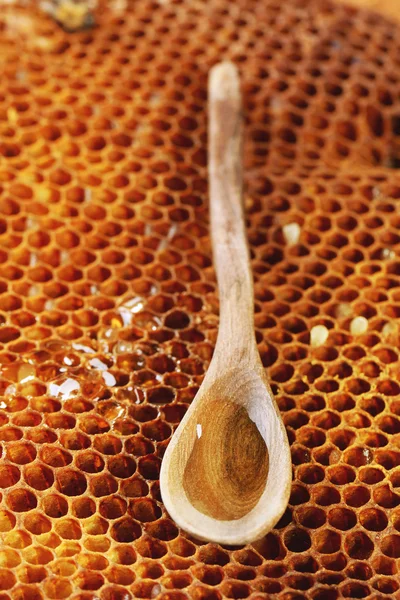 Houten lepel op honingraten — Stockfoto