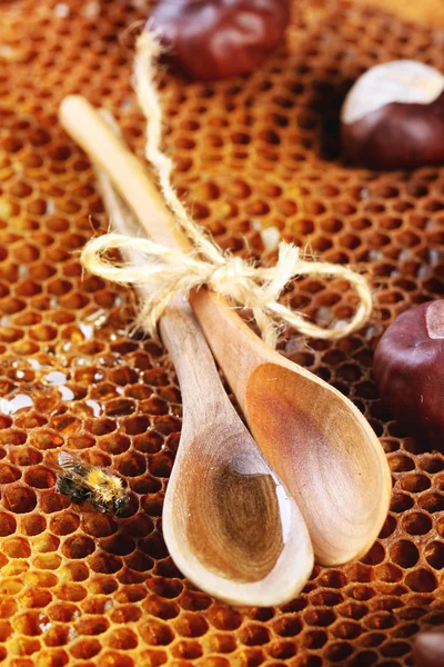 Honey and nuts — Stock Photo, Image