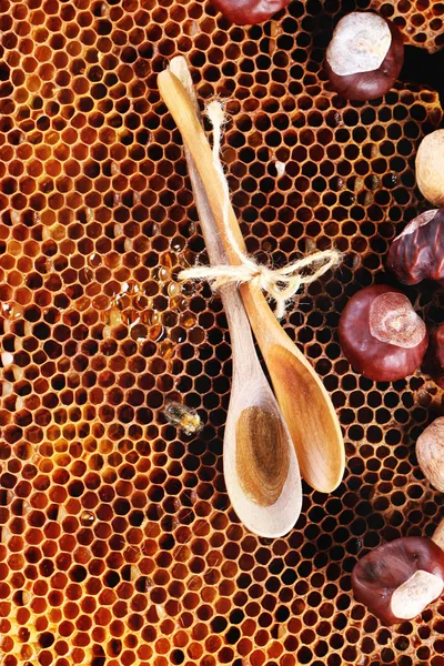 Med a ořechy — Stock fotografie