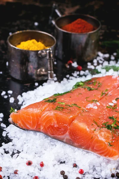 Salted salmon with spices — Stock Photo, Image