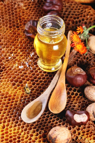 Honey and nuts — Stock Photo, Image