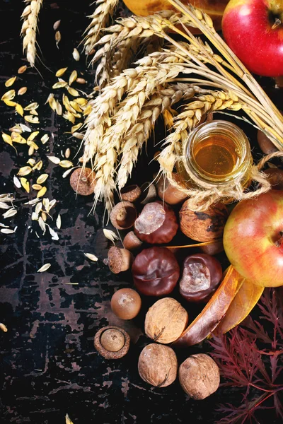 Honey, nuts and apples — Stock Photo, Image