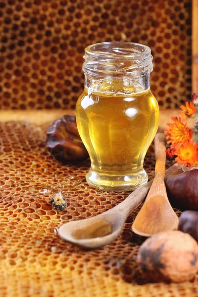 Μέλι και καρύδια — Φωτογραφία Αρχείου