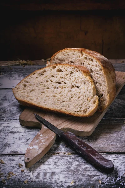 Taze ekmek. — Stok fotoğraf