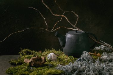 El yapımı seramik çaydanlık kuru dal ve yapraklarla yosun üzerinde duruyor. Sonbahar doğa çay seremonisi.