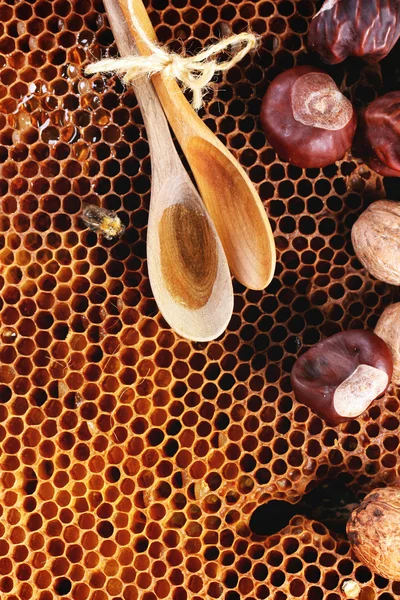 Miel y frutos secos — Foto de Stock