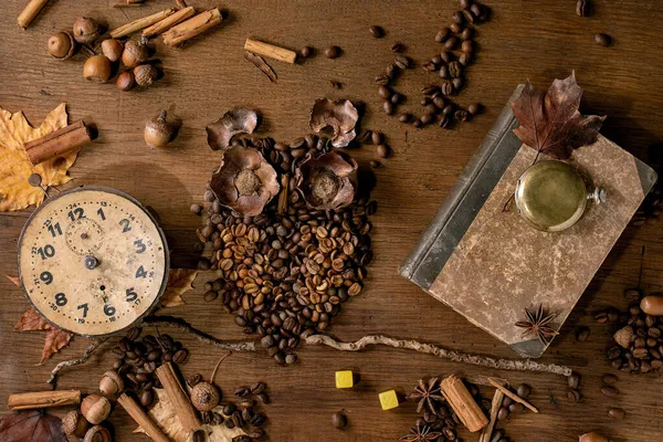 Uggla Form Från Kaffebönor Och Kryddor Uggla Sitta Grenen Med — Stockfoto