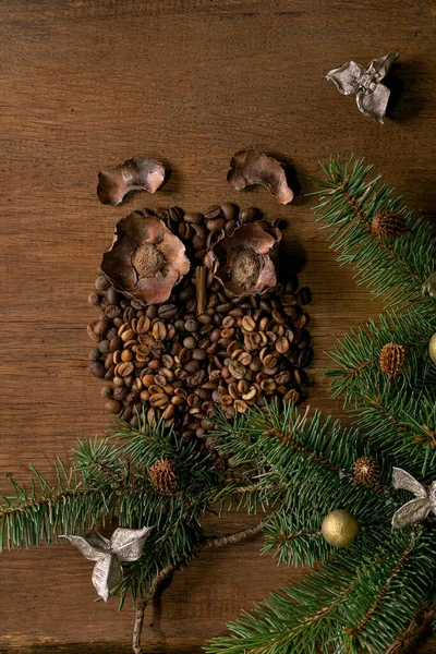 Forma Coruja Grãos Café Especiarias Coruja Sentar Ramo Árvore Natal — Fotografia de Stock