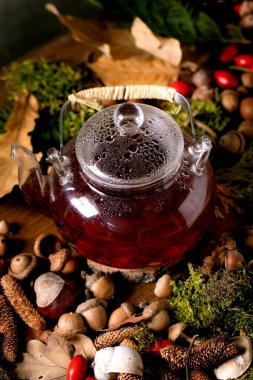 Ormanın arka planında bir bardak sıcak bitkisel gül böğürtlen çayı. Sonbahar yaprakları, yosunlar, köknar kozalakları, salyangoz kabuğu, ahşap yüzeyde gül üzümü. Sıcak vitamin içeceği..