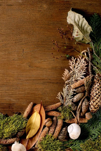 Märchenhaftes Ambiente Magischer Herbstlicher Waldhintergrund Herbstblätter Moos Tannenzapfen Schneckenhaus Pilze — Stockfoto