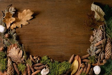 Peri masalı atmosferi büyülü sonbahar ormanı arka planı. Sonbahar yaprakları, yosun, köknar kozalakları, salyangoz kabuğu, ahşap yüzeyde mantarlar. Yaratıcı seçimler. Orman bitkilerinin çerçevesi. Boşluğu kopyala