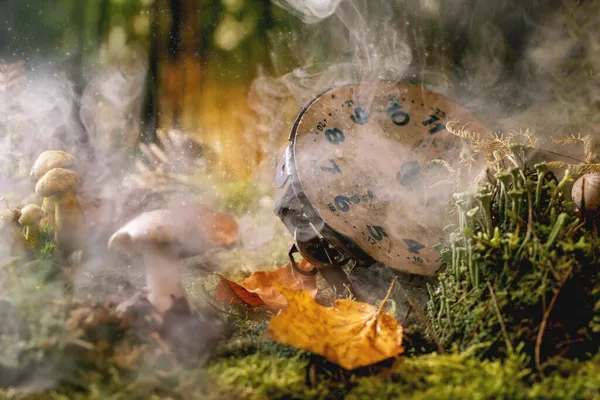 Sprookjesachtige Sfeer Magische Herfst Bos Achtergrond Oude Klok Gezicht Vistuig — Stockfoto