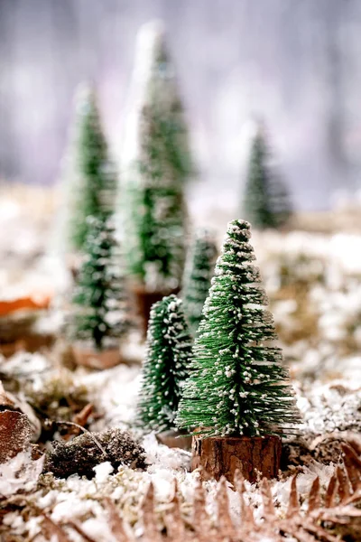 圣诞贺卡或新年贺卡 在雪地上装饰着圣诞树 背景是覆盖着冬季森林的苔藓 圣诞假期气氛 — 图库照片