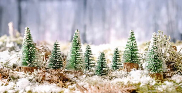 Świąteczna Lub Noworoczna Kartka Grupą Ozdobnych Choinek Pokrytym Śniegiem Mchu — Zdjęcie stockowe