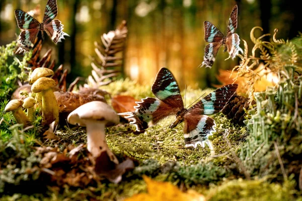 Ambiente Cuento Hadas Mágico Bosque Otoño Fondo Tres Hermosas Mariposas — Foto de Stock