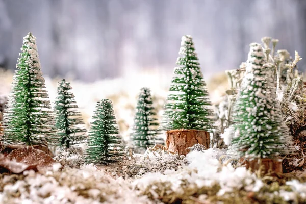 冬の森を背景に雪に覆われた苔の行に装飾的なクリスマスツリーのグループとクリスマスや新年の挨拶カード クリスマス休暇の雰囲気 — ストック写真