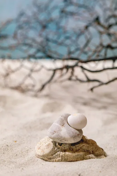 여름철에는 해변에서 파도와 가지를 배경으로 돌들을 놓는다 레이아웃 휴가철의 — 스톡 사진