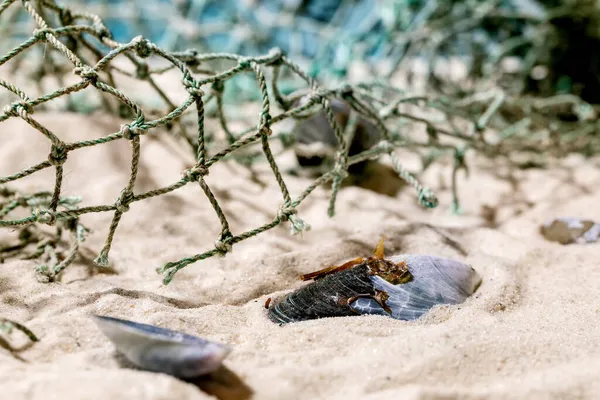 Stare Sieci Rybackie Muszle Małży Letniej Piaszczystej Plaży Morskiej Falami — Zdjęcie stockowe