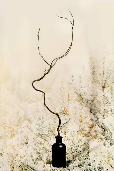 Різдвяна Листівка Гілкою Сухого Дерева Форма Голови Оленя Пляшковій Вазі — стокове фото