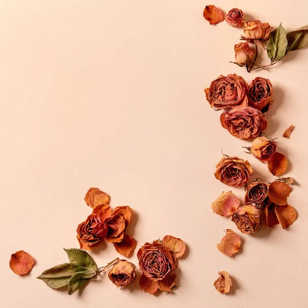 Όμορφη Βοτανική Σύνθεση Δημιουργική Διάταξη Ξηρά Πέταλα Τριαντάφυλλα Πάνω Από — Φωτογραφία Αρχείου