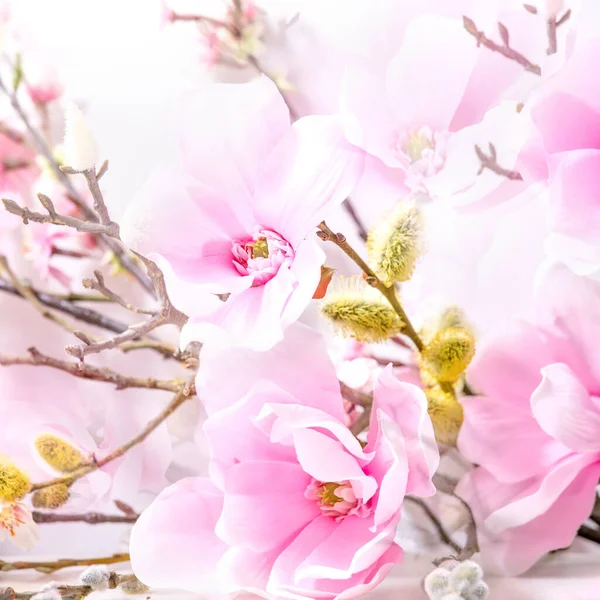 Vackra Rosa Vårblommor Sammansättning Över Vitt Magnolia Blommor Körsbär Blommande — Stockfoto