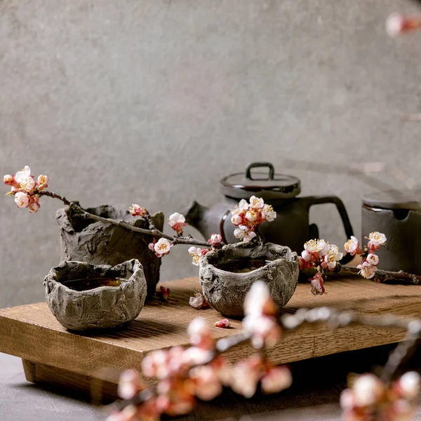Tea Drinking Wabi Sabi Japanese Style Dark Clay Cups Teapot — 图库照片