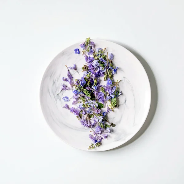 白を背景に白板に紫色の食用花を咲かせます フラットレイアウト スペース 正方形の画像 — ストック写真