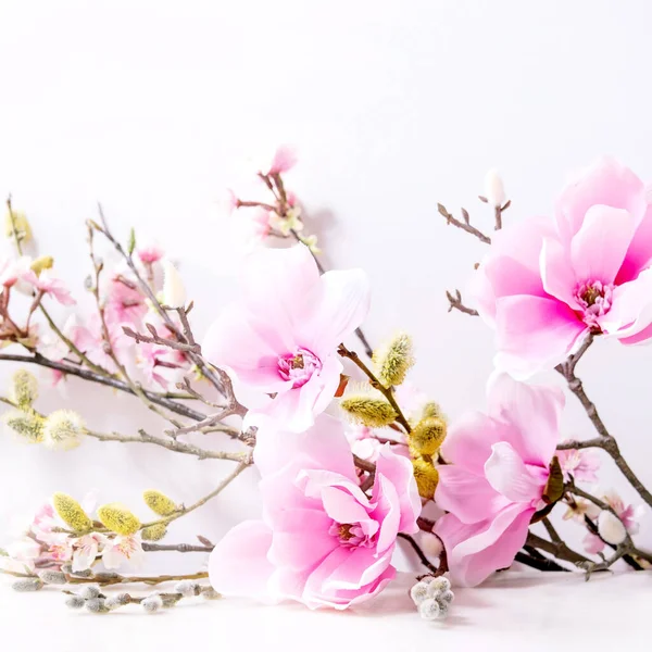 Krásné Růžové Jarní Květiny Složení Přes Bílou Magnoliové Květy Třešňově — Stock fotografie