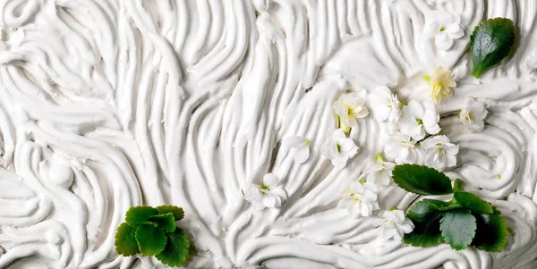 Malé Krásné Bílé Kalanchoe Květiny Zelené Listy Bílém Květinově Zdobené — Stock fotografie