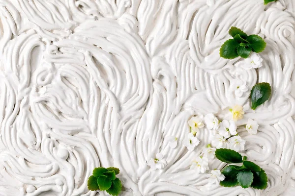 Malé Krásné Bílé Kalanchoe Květiny Zelené Listy Bílém Květinově Zdobené — Stock fotografie
