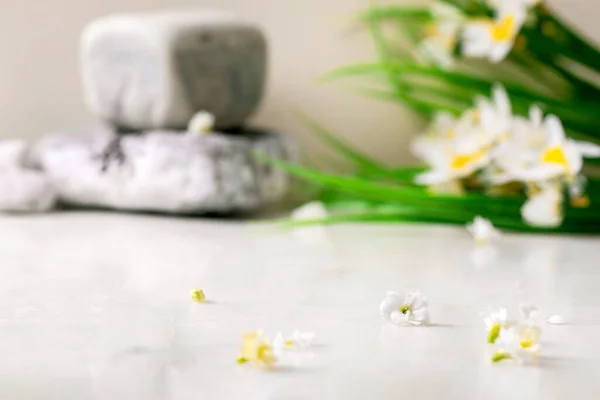 Tavolo Marmo Bianco Con Piccoli Fiori Bianchi Kalanchoe Mazzo Narcisi — Foto Stock