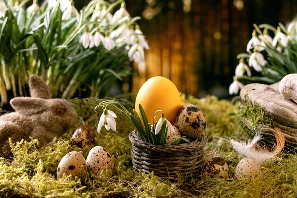 Easter Greeting Basket Quail Color Eggs Bunny Rabbit Moss Spring — Stock Photo, Image