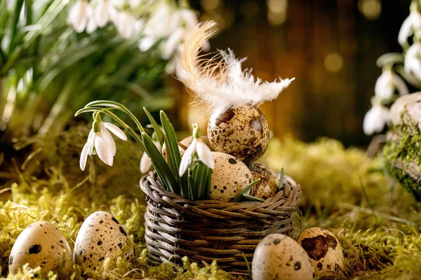 Easter Greeting Basket Quail Eggs Feather Moss Spring Forest Beautiful — Stock Photo, Image