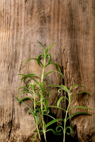 Fresh Organic Gardening Rosemary Branches Row Old Wooden Background Top — Stock Photo, Image