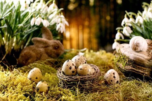 Easter Greeting Basket Quail Eggs Bunny Rabbit Moss Spring Forest — Stock Photo, Image