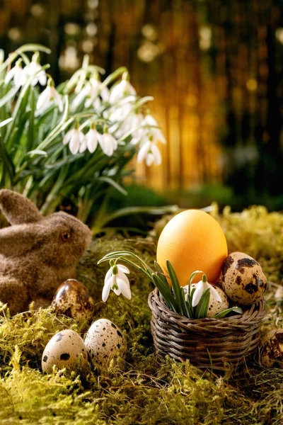 Easter Greeting Basket Quail Color Eggs Bunny Rabbit Moss Spring — Stock Photo, Image