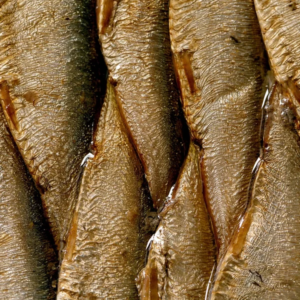 Macro Close Canned Baltic Smoked Sprats Oil Food Background Square — Stock Photo, Image