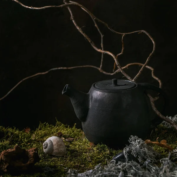 Bouilloire Artisanale Céramique Théière Debout Sur Mousse Avec Branche Sèche — Photo