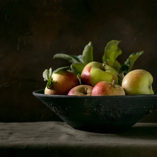 Ripe Organic Gardening Green Red Apples Leaves Big Ceramic Dish — 스톡 사진