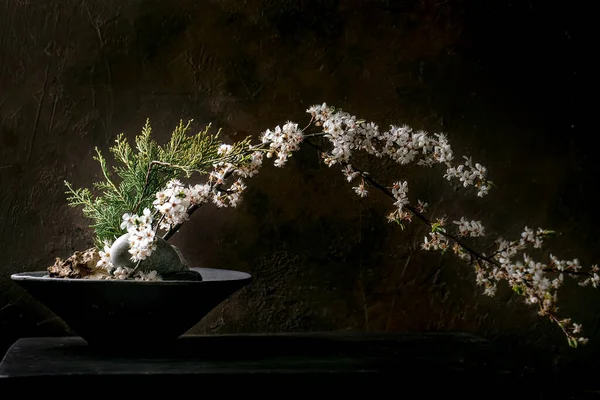 春天Ikebana 简约的花卉构图 春天盛开的白花 紫杉枝和石子 装在黑色陶瓷碗里 屹立在黑色木桌上 日本风格的家居装饰 — 图库照片